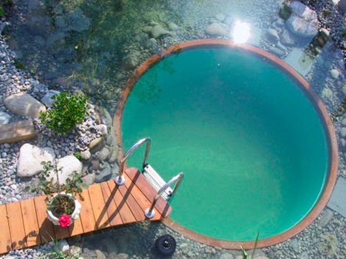 Pond vs. Pool – Pros and Cons - Quiet Nature