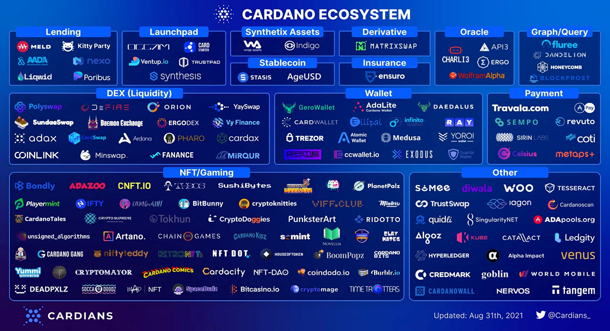 Speed in the Shelley era - Education - Cardano Forum