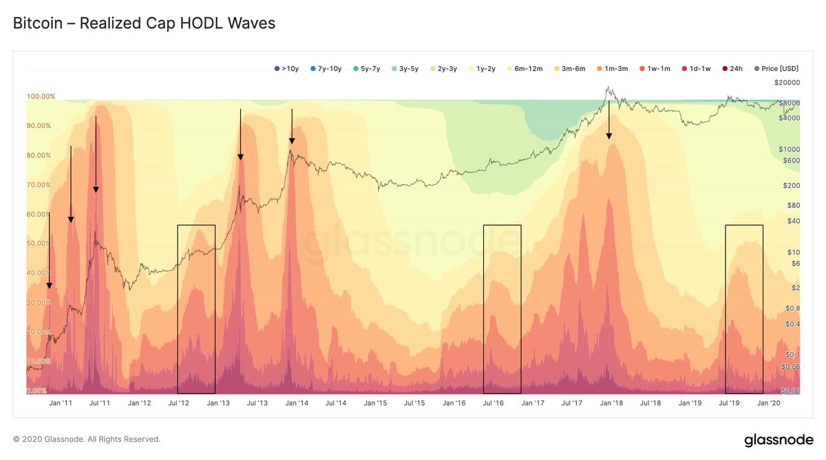 The Pulse of Bitcoin – Understanding Current Market Trends Through HODL Behavior - The Daily Hodl