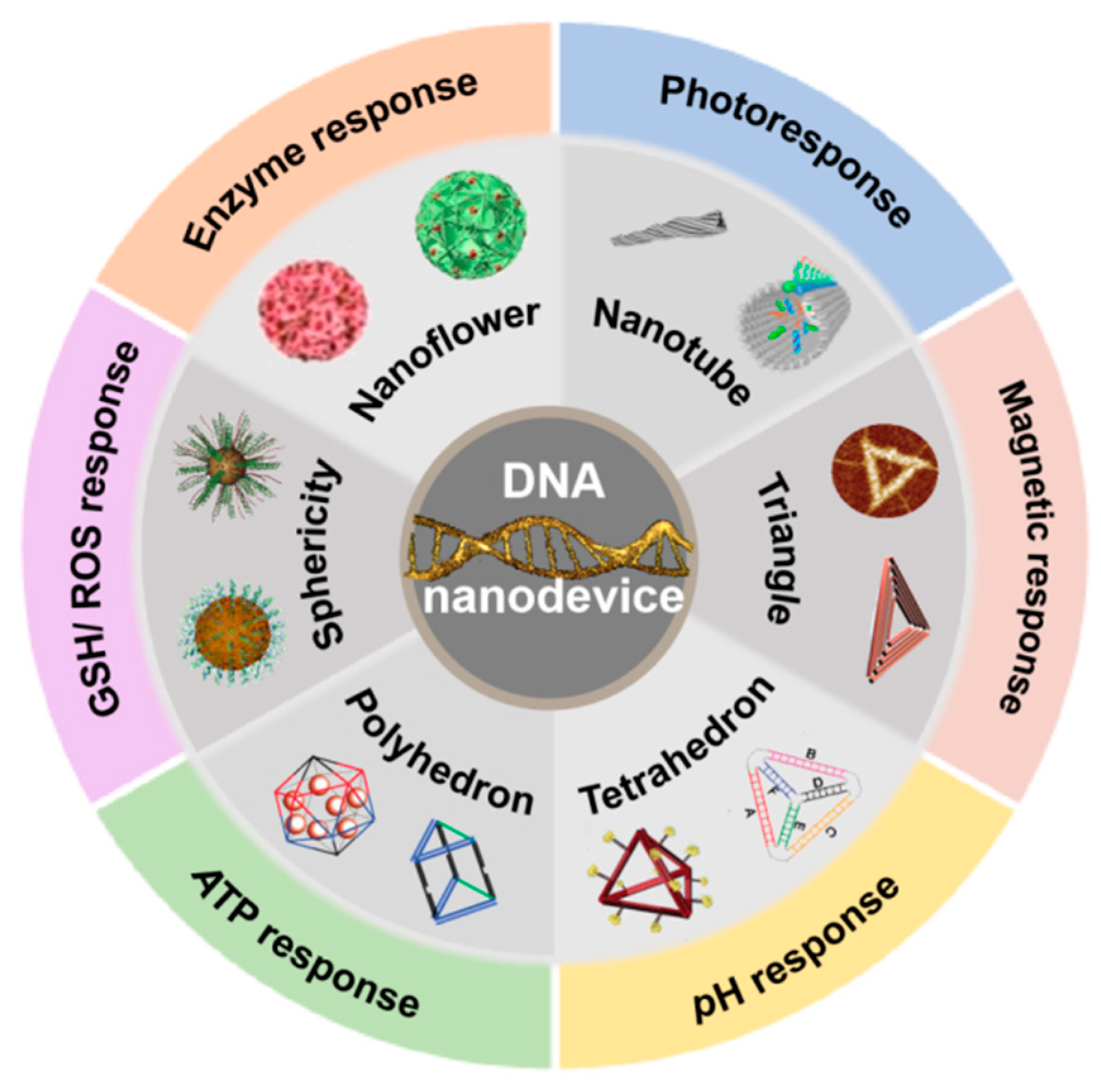 EncrypGen (DNA) Price Prediction , – | CoinCodex