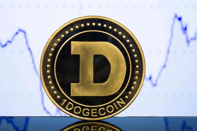 Convert DOGE to USD - Dogecoin to US Dollar Converter | CoinCodex