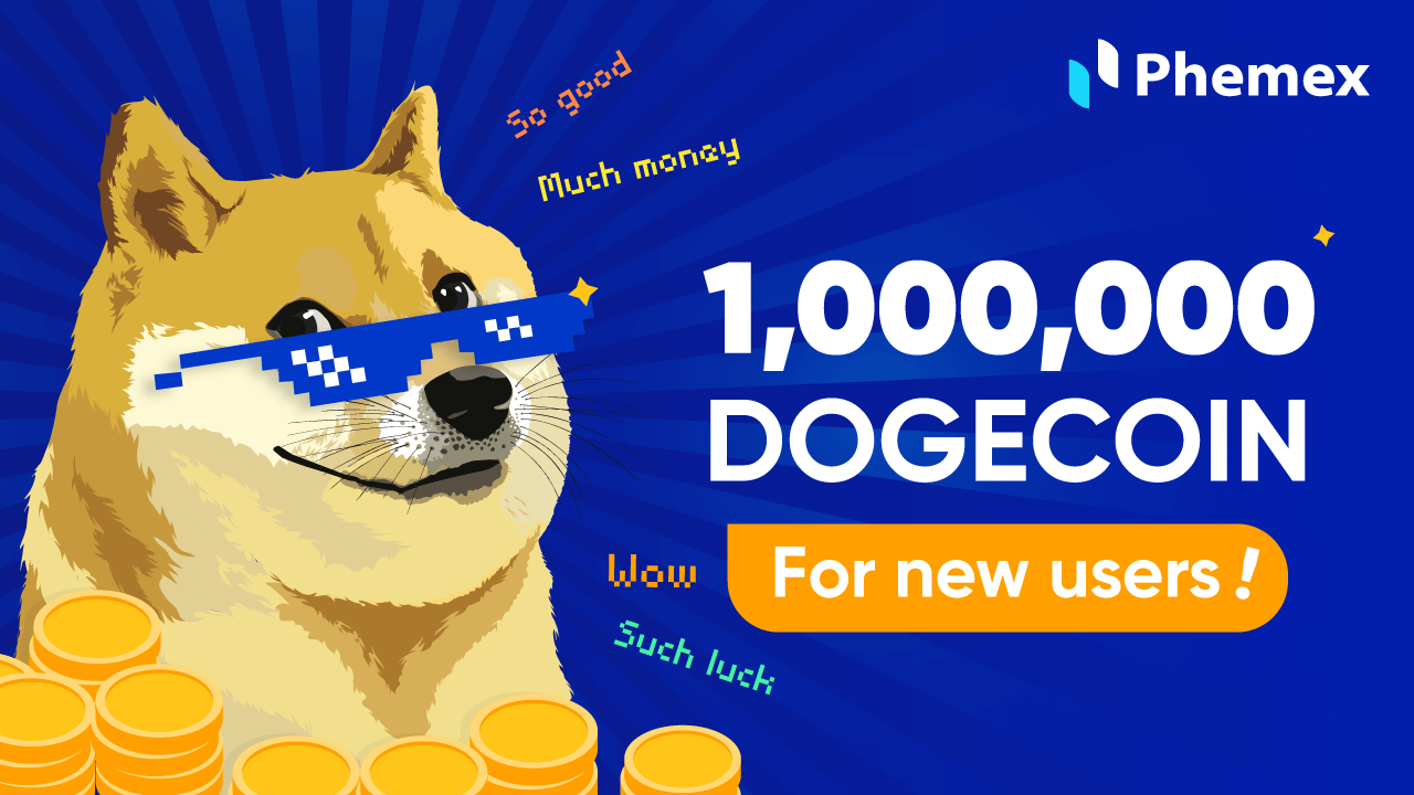 DOGE to USD, How Much Is Dogecoin in United States Dollar