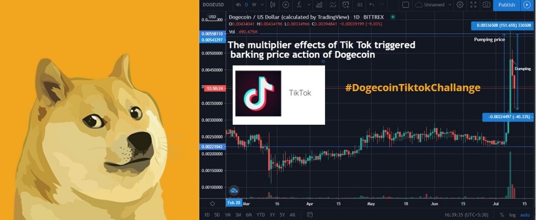 Dogecoin Up % After Viral Tik Tok Video - JRNY Crypto