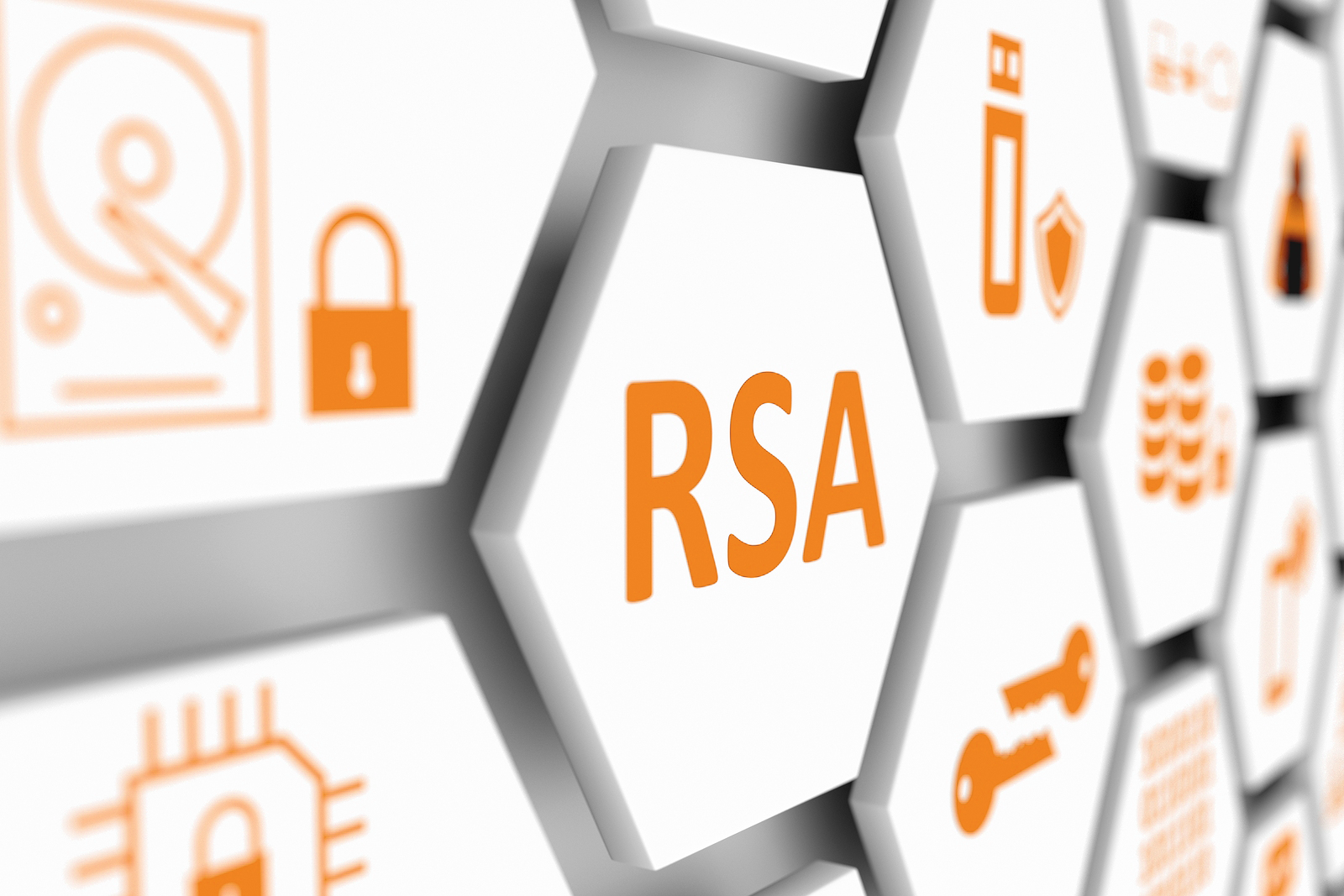 What is a RSA Key? | Definition & examples of it's use