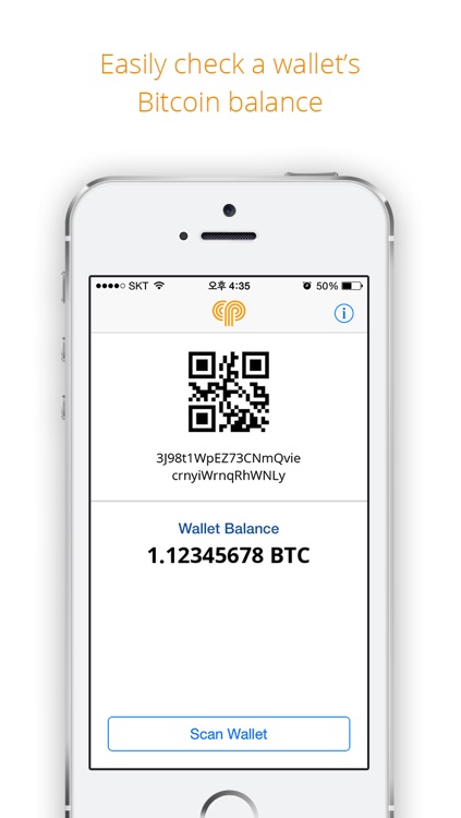 Check Bitcoin Wallet Address Balance - Online Tool | BitRef