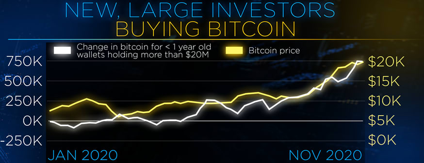 Why investors say bitcoin's surge is not like 's