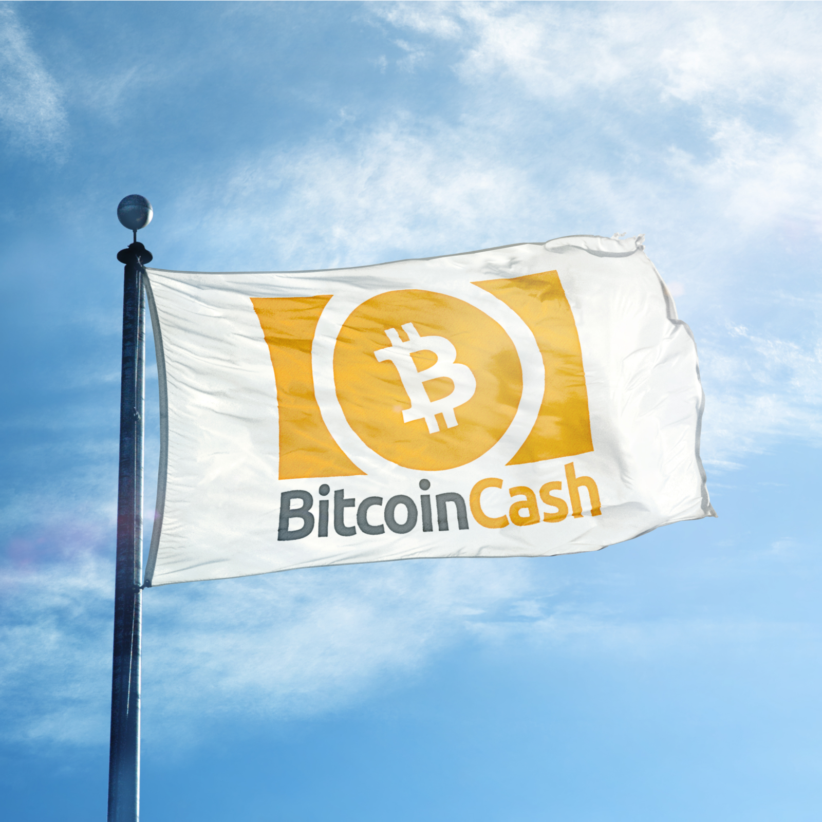 Bitcoin Cash vs Bitcoin: Understanding the Difference Between Them