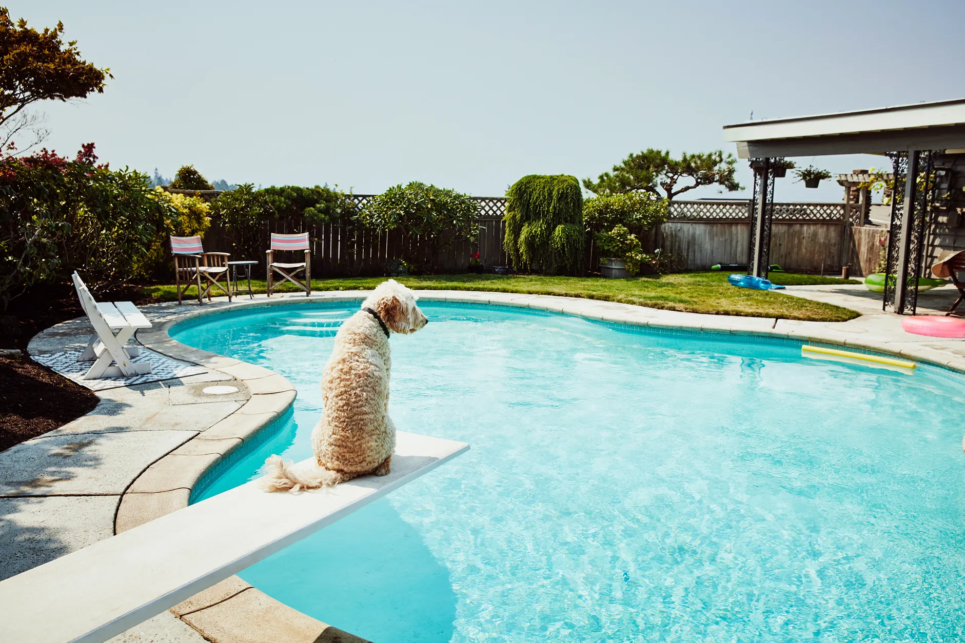 Swimply - Rent Private Pools, Courts, and More by the Hour - Pools Near Me