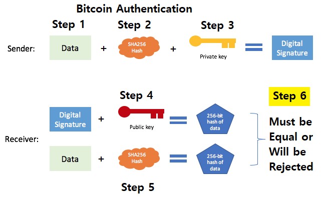 Make Passive Income as a Crypto Validator On These 5 Blockchains - MoneyMade