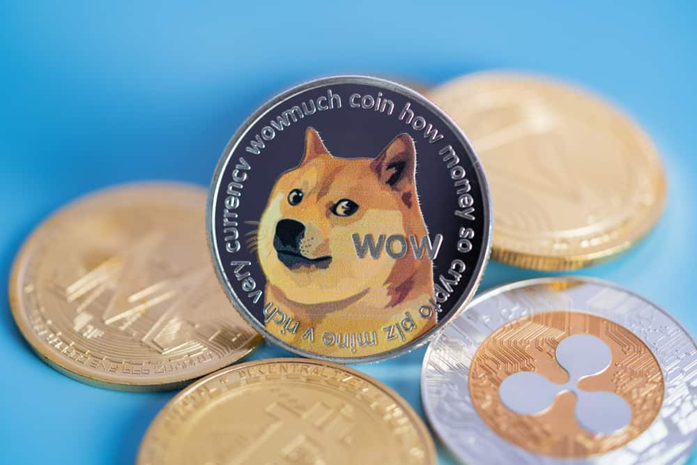 Convert 1 BABYDOGE to USD - Baby Doge Coin price in USD | CoinCodex