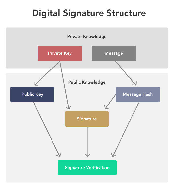 Public Key | A Point on the Elliptic Curve