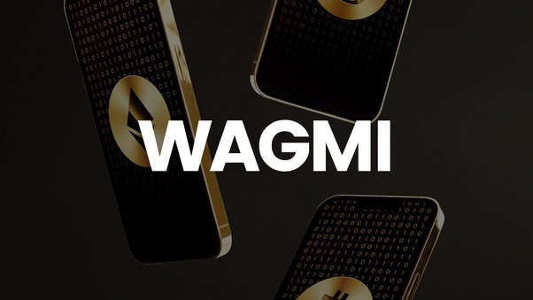 NGMI vs WAGMI meaning in crypto: Usage, and Examples