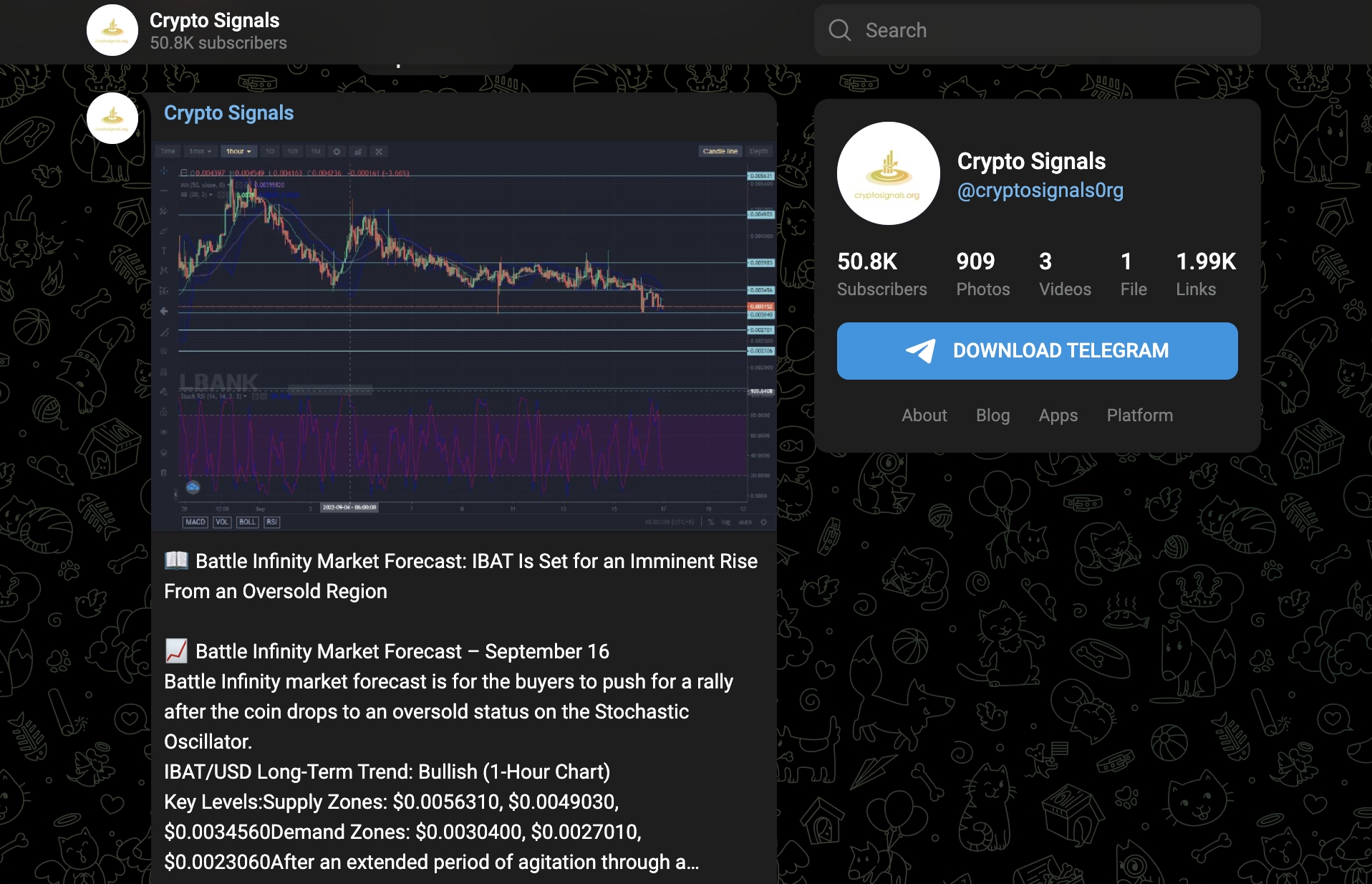 Best Crypto Signals Groups: Unveiling Top Performers for Traders