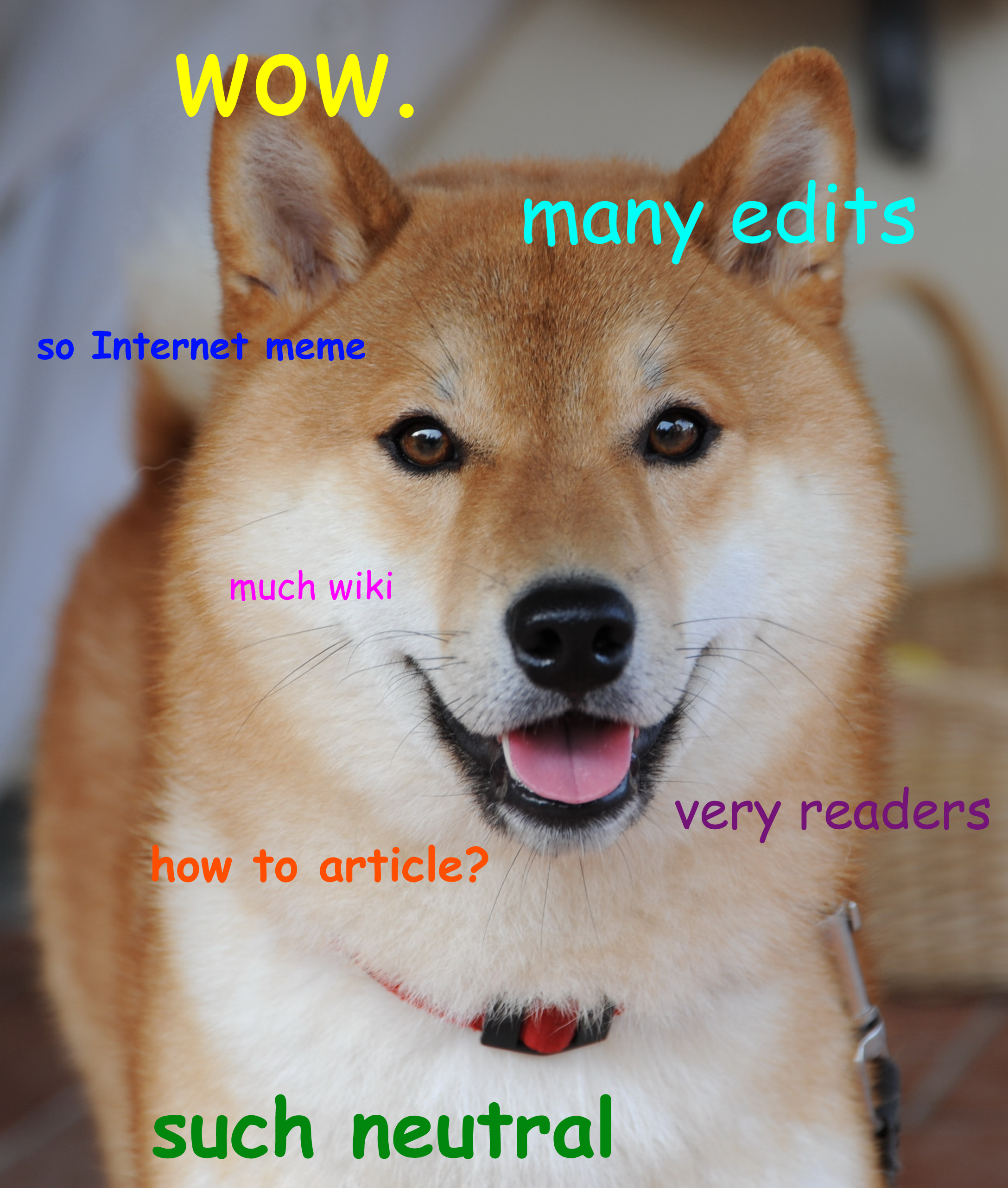 Shiba Inu Meme - What Is A Doge Exactly? - My First Shiba Inu