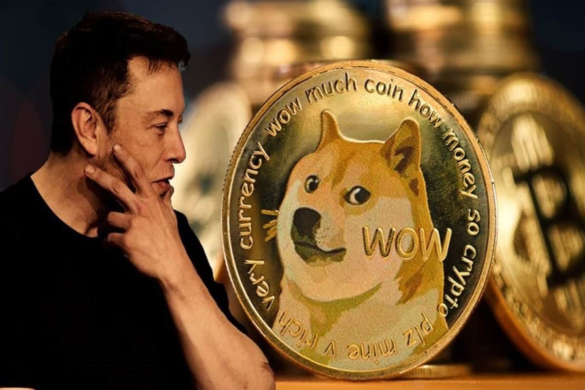 Guest Post by Coingape News Media: Dogecoin (DOGE) Rich List: Elon Musk Holds DOGE? | CoinMarketCap