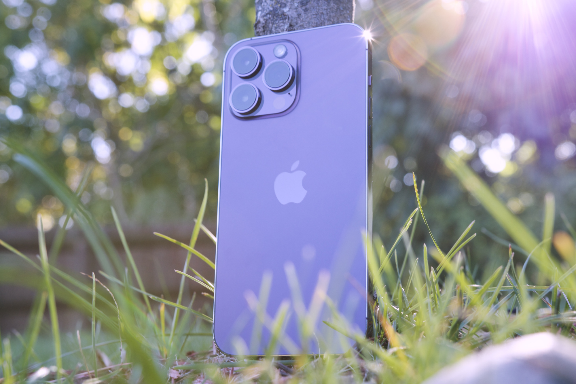 iPhone 14 Pro and 14 Pro Max Review: Welcome to Apple's Dynamic Island - CNET