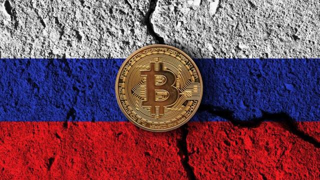 Russia turns cold on crypto-currencies | Reuters