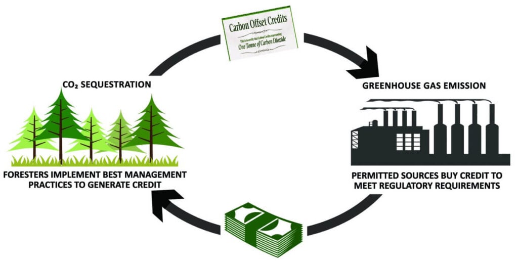 Blockchain for Carbon Credits & Green Tech with Blaize