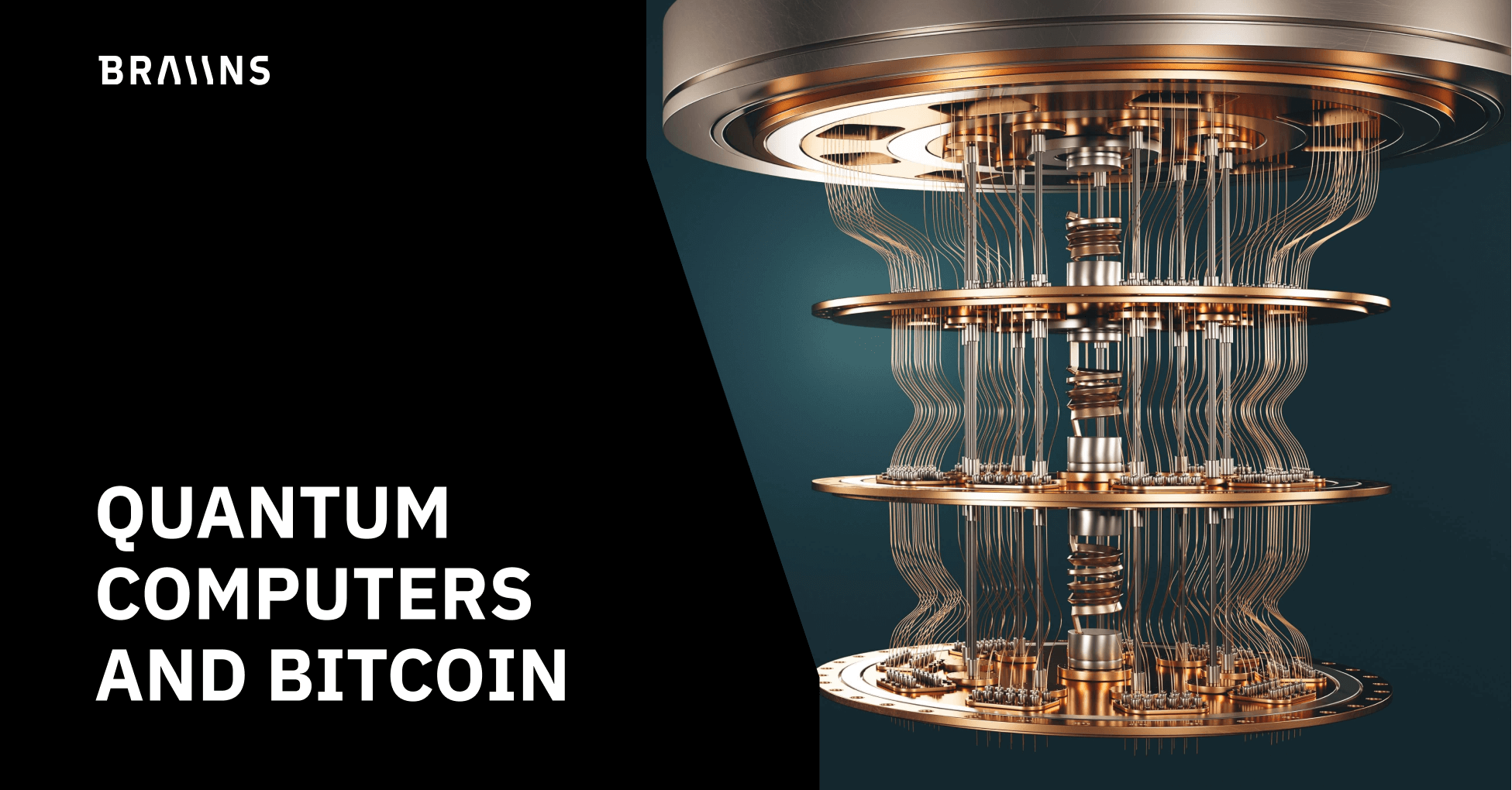 Can a Quantum Computer Hack Bitcoin? | NGRAVE