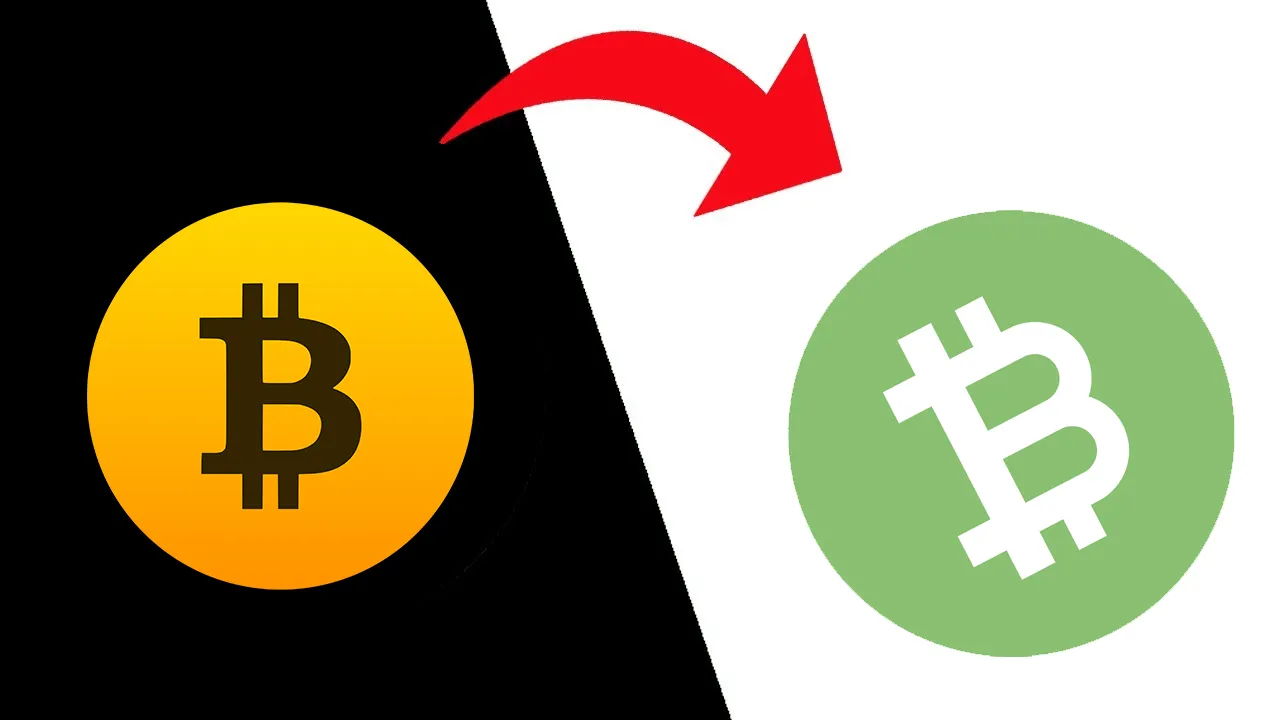 Convert Bitcoin Cash to Bitcoin | BCH to BTC currency converter - Valuta EX