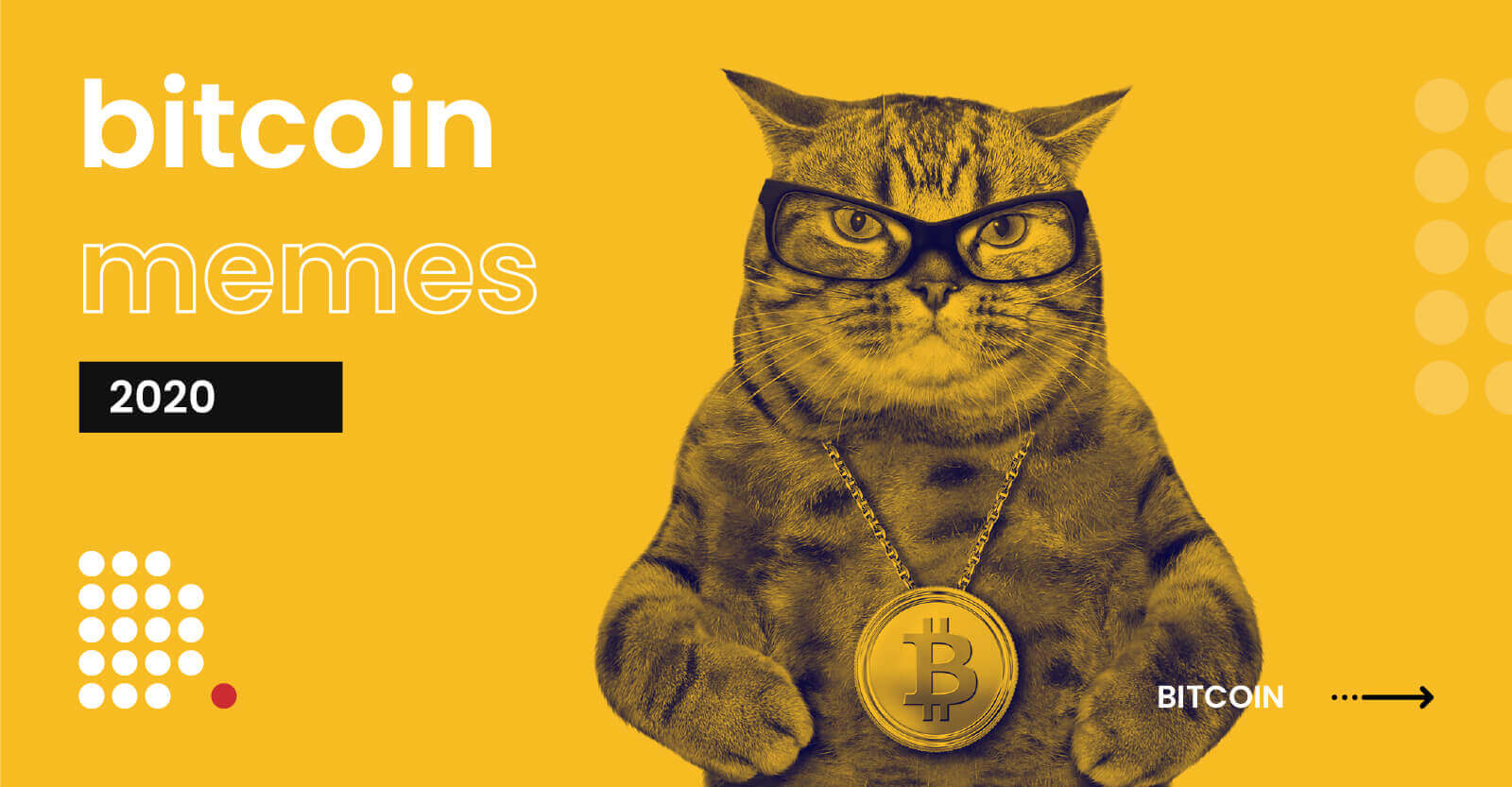 Top Crypto and Bitcoin Memes of All Time: and Edition