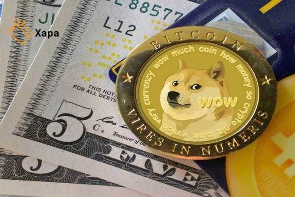 Swap DOGE to BTC | Dogecoin to Bitcoin Crypto Exchange | SwapSpace