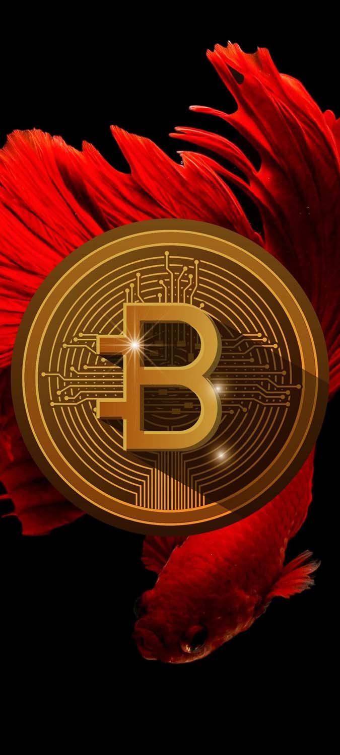 Apple Has Included Bitcoin Whitepaper in Every Version of macOS Since - MacRumors