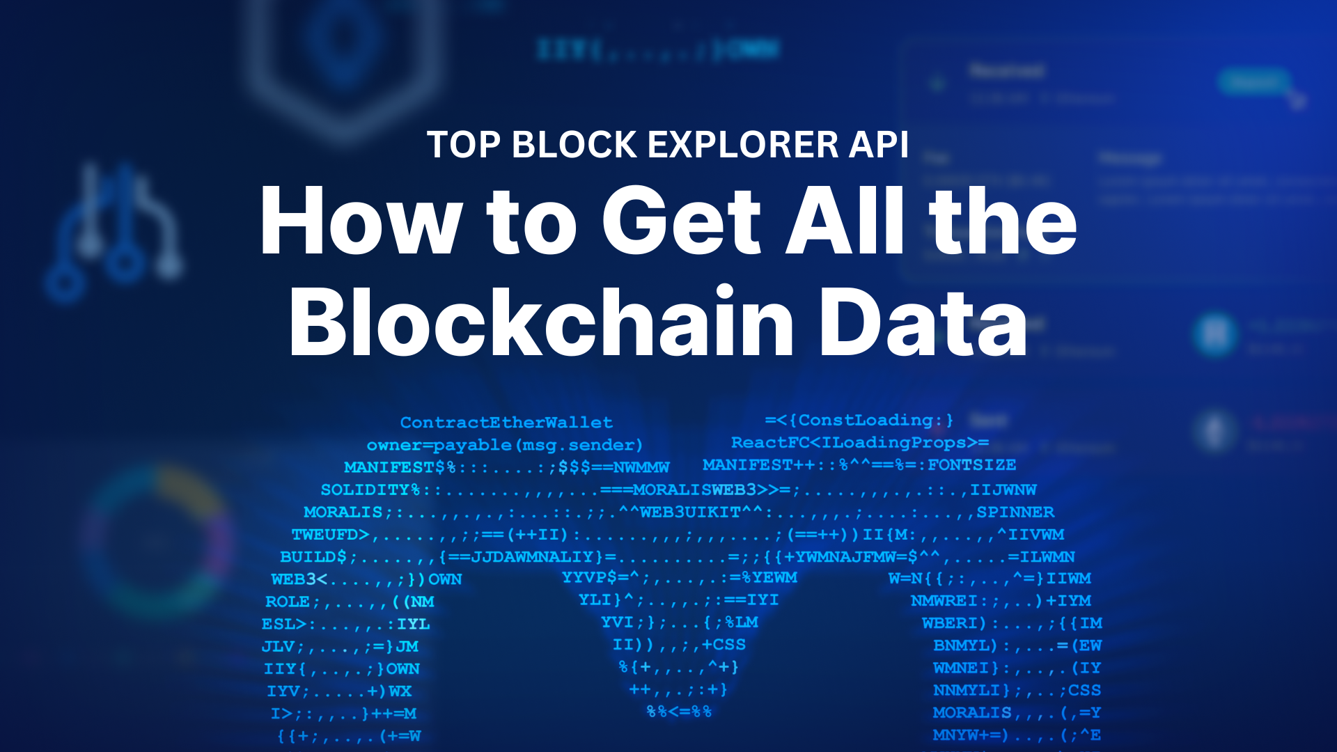 What is a Blockchain Explorer - A Detailed Guide | Shardeum