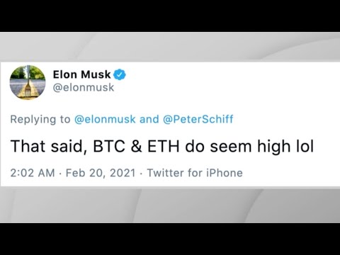 Elon Musk blames SEC for fake Bitcoin tweet blunder