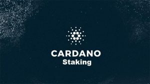 Cardano Staking - Bitcoinsensus