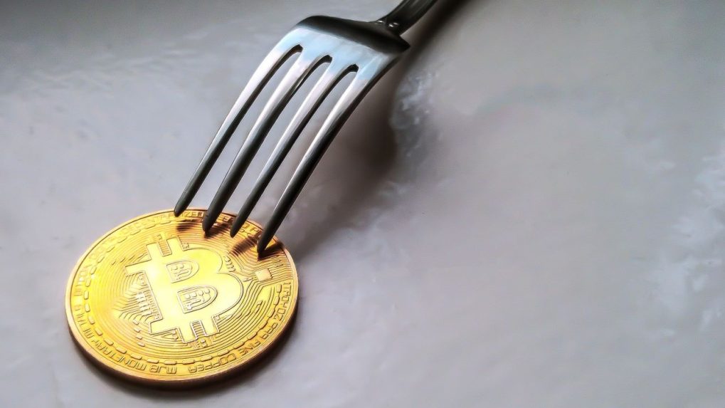 Bitcoin forks list. All about cryptocurrency - BitcoinWiki