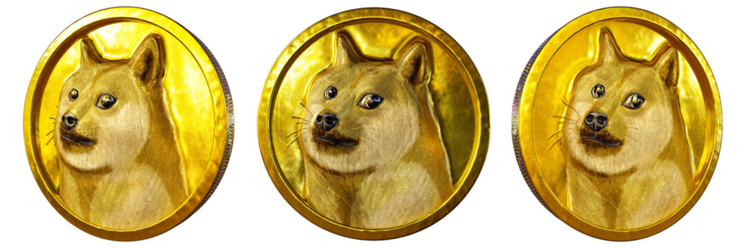 Doge Coin 3d model. Free download. | Creazilla