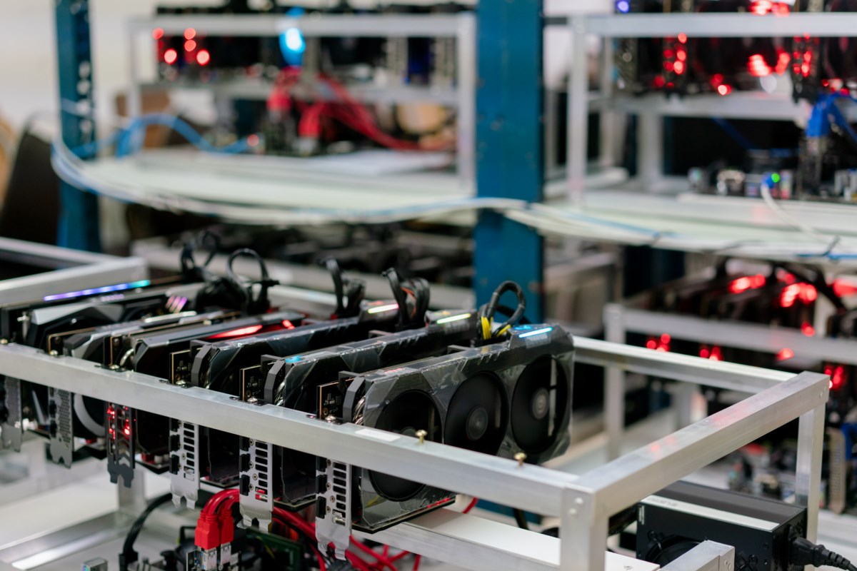 Is there any Bitcoin miners in B.C.? - Prince George Citizen