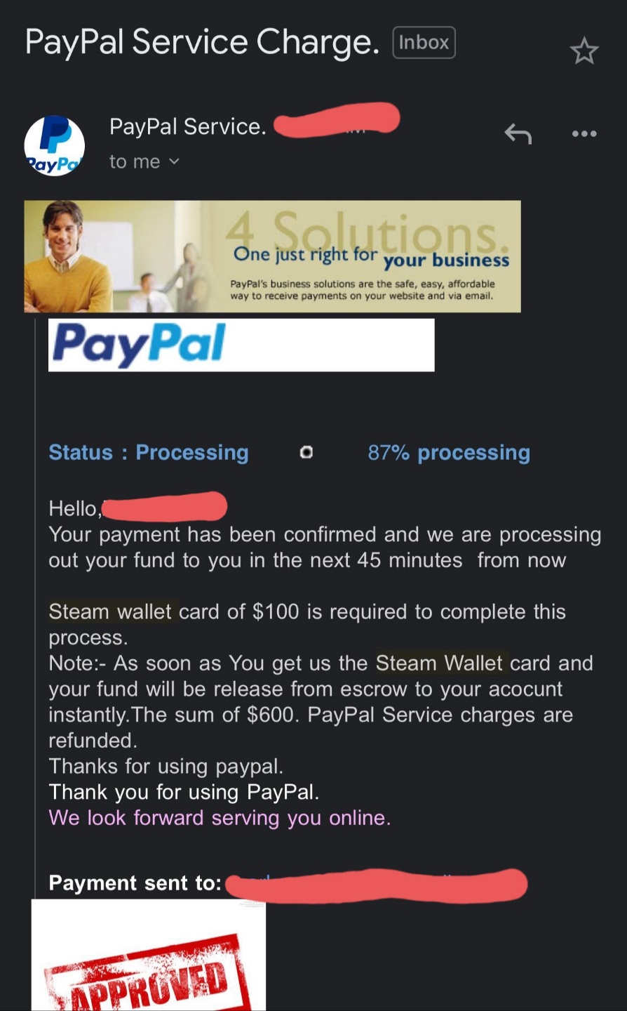 Solved: Steam wallet payment what is this ? - PayPal Community