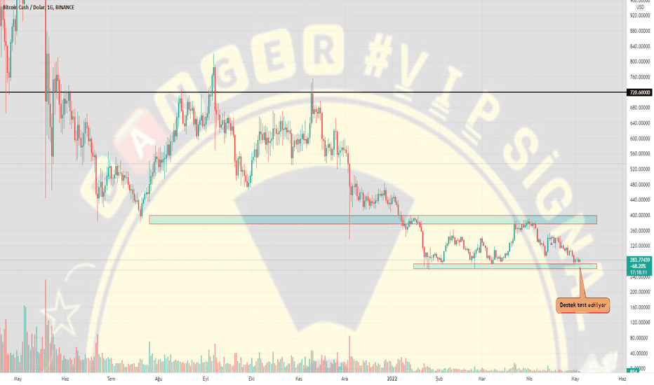 Bitcoin Cash Price | BCH Price Index and Live Chart - CoinDesk