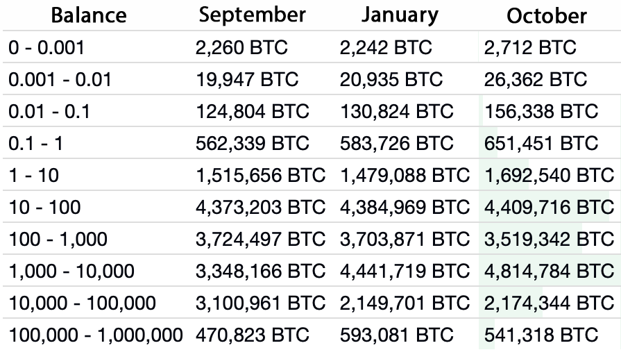 Top Richest Bitcoin Addresses and Bitcoin distribution