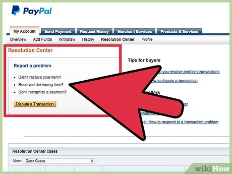 How to Win a PayPal Dispute- 6 Functional Solutions for Business Owners