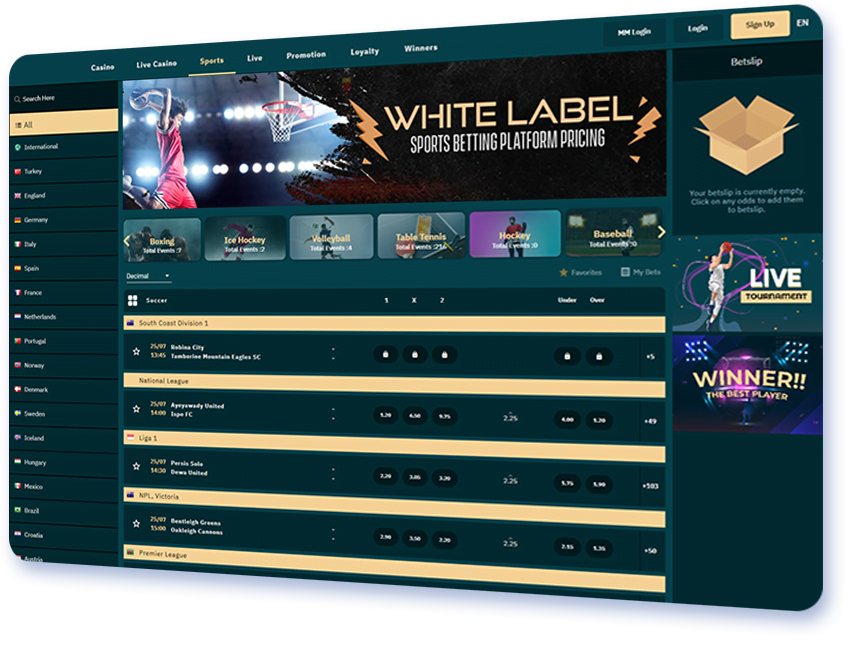 Benefits of White Label Casino Software | Melior Games