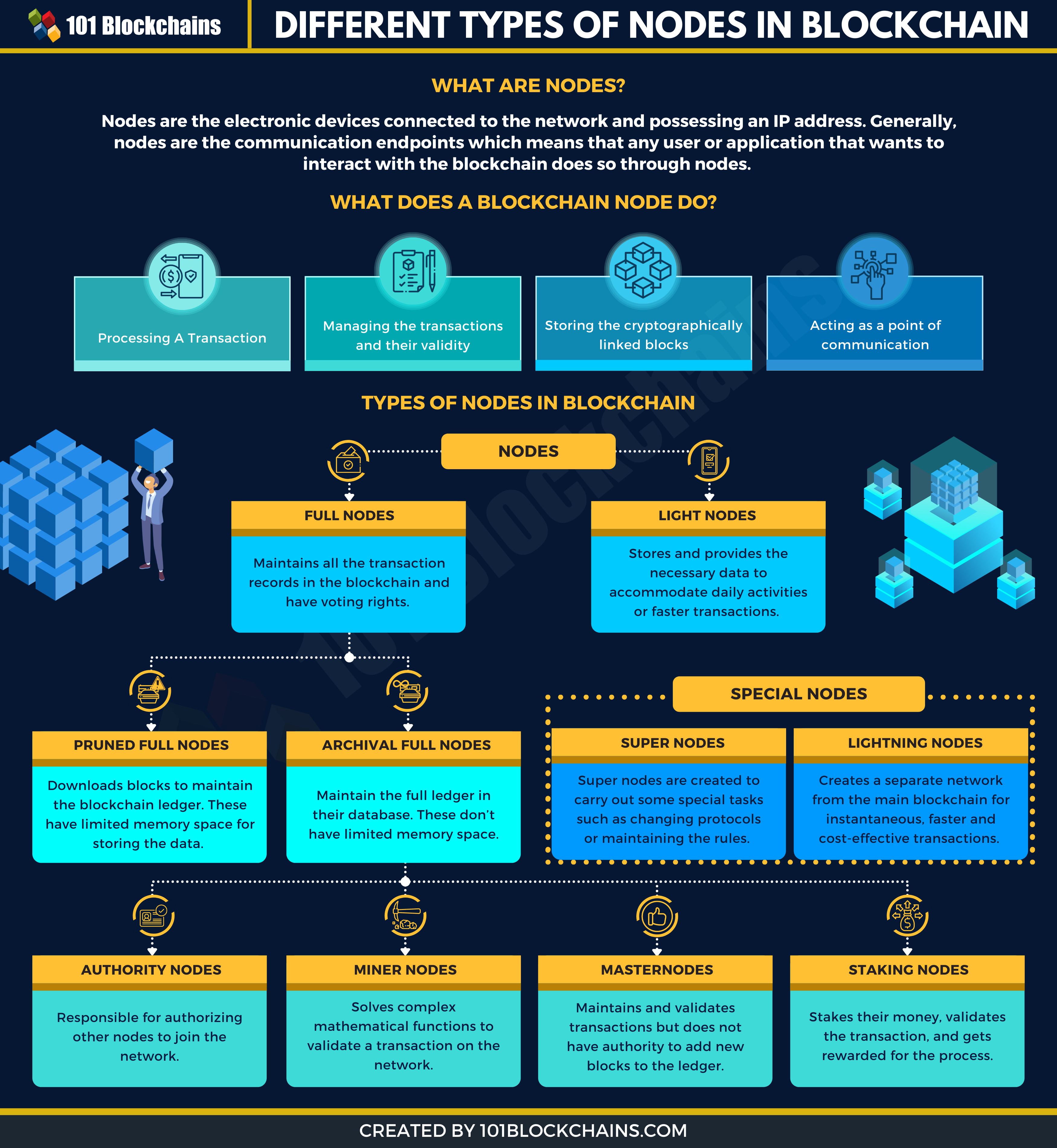 What Is a Node in Blockchain? | Algorand Foundation News