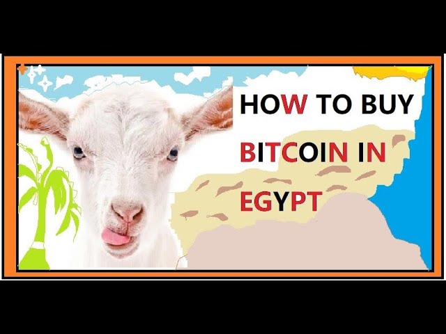 How to buy bitcoin in Egypt in 3 easy steps