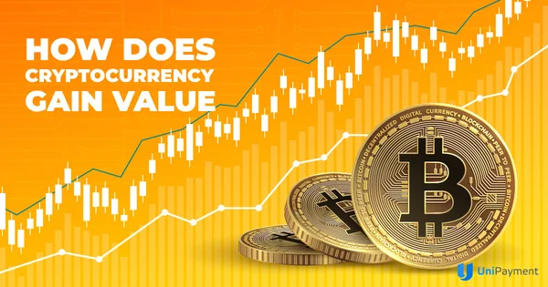 Why Do Bitcoins Have Value?