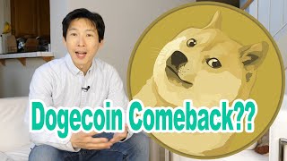 Dogecoin Adoption Accelerates To Fastest Pace Ever: DOGE Comeback Soon? | Bitcoin Insider