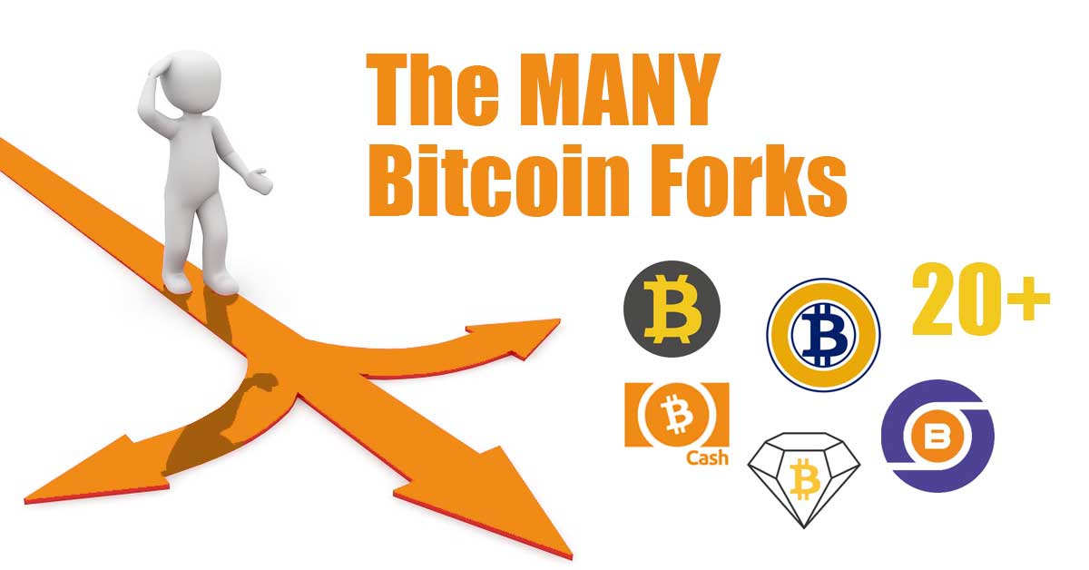 The November Bitcoin Cash Fork | Bitwise Investments