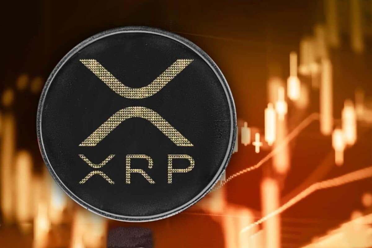 Ripple, Binance, Chris Larsen: Meet the Top 10 XRP Holders