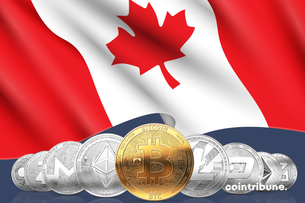 How to buy Bitcoin Cash in Canada | bitcoinlove.fun