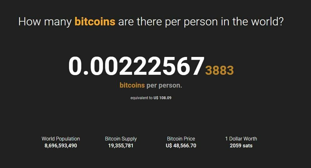 Bitcoin to USD Converter | How much are your satoshis worth?