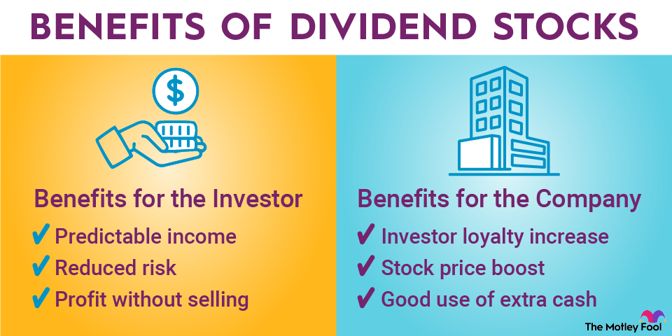 How to Make Money from Dividends: 7 Ways to Profit – Dividends Diversify