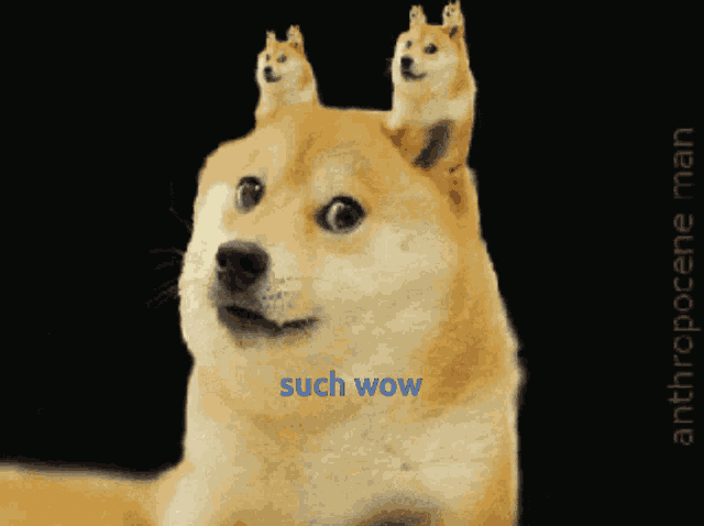 GitHub - Olivia5k/doge: wow very terminal doge