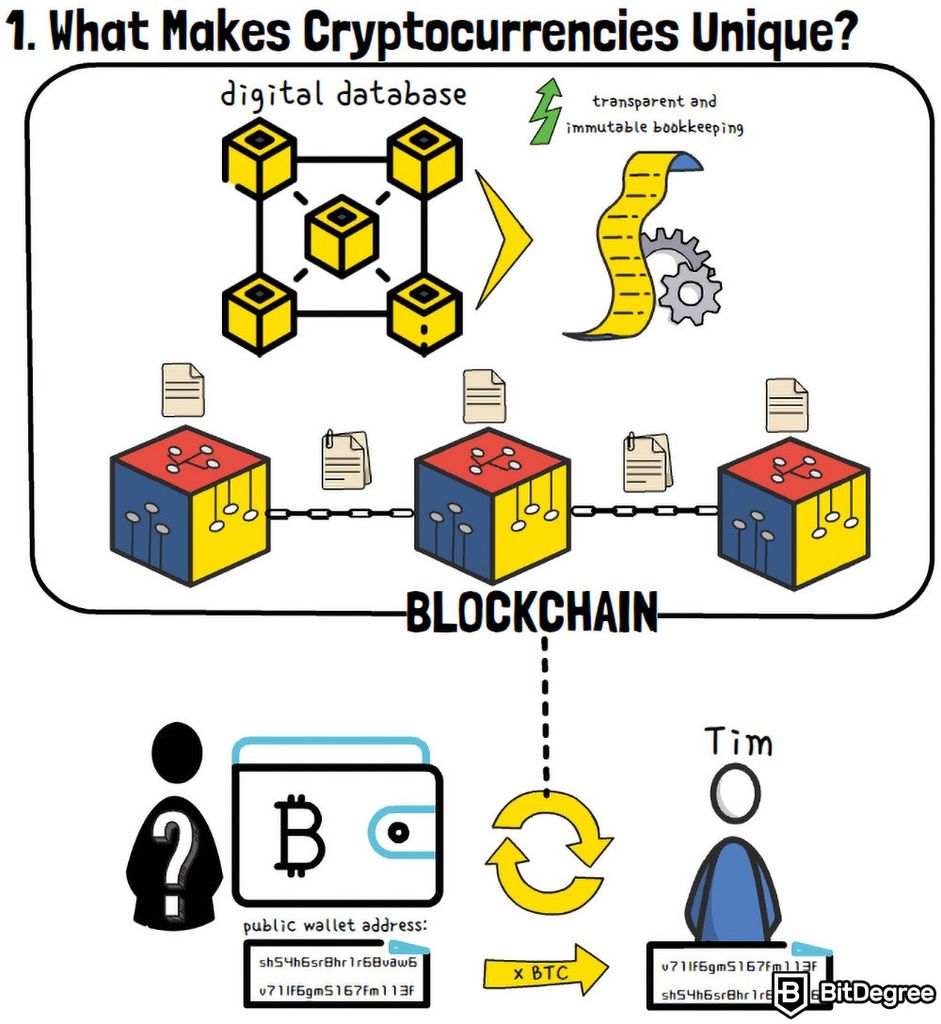 How Do Bitcoin Transactions Work? - CoinDesk