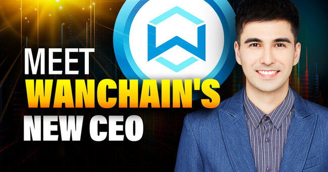 Wanchain (WAN) Review: A Look At The Project Post ICO